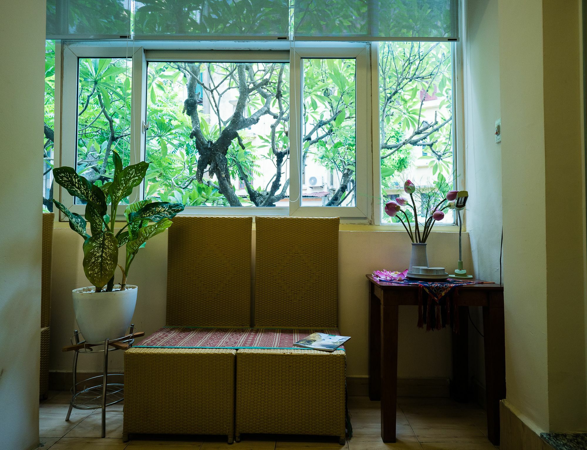 Hanoi Balcony Homestay Hanói Exterior foto